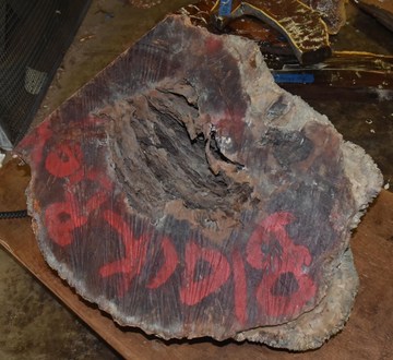 Black Box Burl 2789.BURL.070