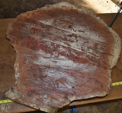 Black Box Burl 2789.BURL.071
