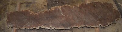Black Box Burl B020215