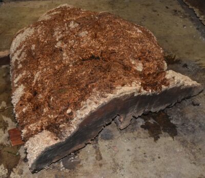 Black Box Burl B020216
