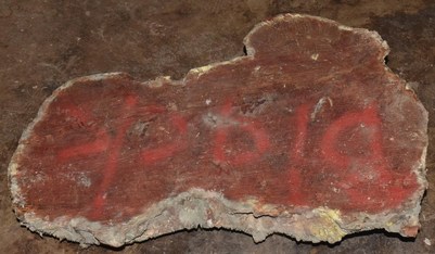 Black Box Burl B020271
