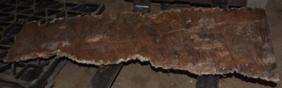 Black Box Burl B022792