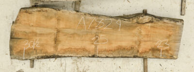 Myrtle (Tasmanian) Board BA7829