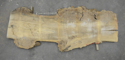 Elm (English Wych) Board BA8811