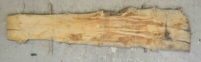 Maple (Big Leaf) Board BB0419