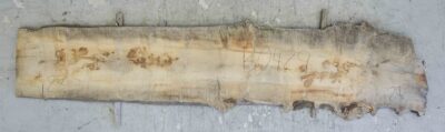 Maple (Big Leaf) Board BB0429