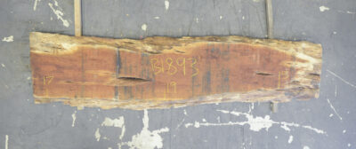 Blackwood (Tasmanian) Board BB1893