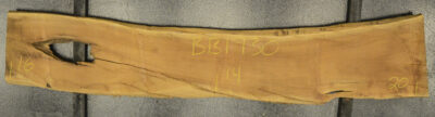 Sheoak Board BB1930