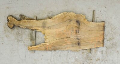 Walnut (Bastogne) Board BB3471