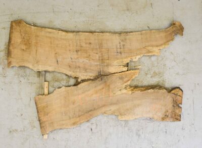 Walnut (Bastogne) Board BB3474