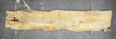 Maple (Big Leaf) Board BC1086