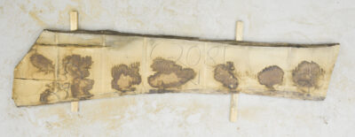 Chestnut (European) Board BC2081