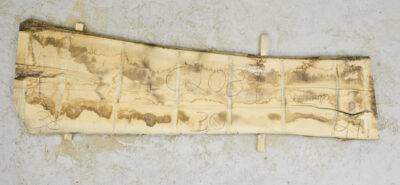 Chestnut (European) Board BC2089