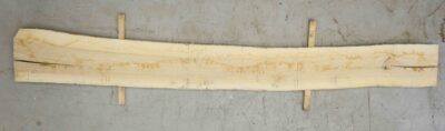 Ash (European) Board BC4288