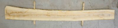 Ash (European) Board BC4289
