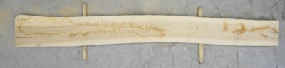 Ash (European) Board BC4296