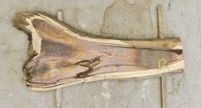 Cocobolo Board BC4352