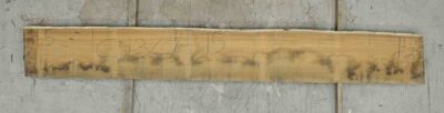 Blackwood (Tasmanian) Board BC4367