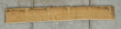 Blackwood (Tasmanian) Board BC4368