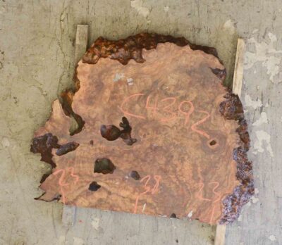 Camphor Board BC4392