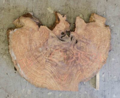 Camphor Board BC4395