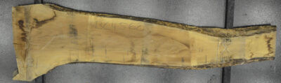 Walnut (European) Board BC4560