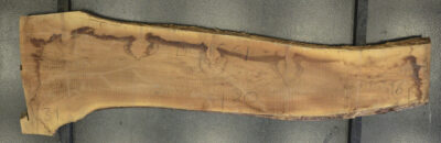 Walnut (European) Board BC4561