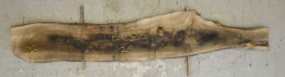 Walnut (English) Board BC6304