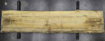 Ash Board BD02337
