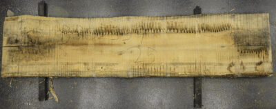 Ash Board BD02339