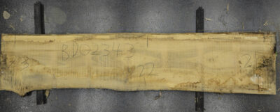 Ash Board BD02343