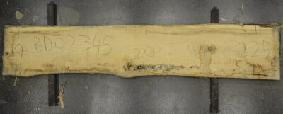 Ash Board BD02345