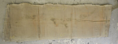 Sapele Board BD03077