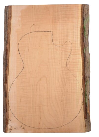 Maple (Soft) GuitarSolidBodyTopATC L15449.G.144