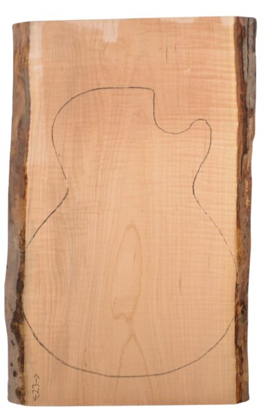 Maple (Soft) GuitarSolidBodyTopATC L15449.G.145