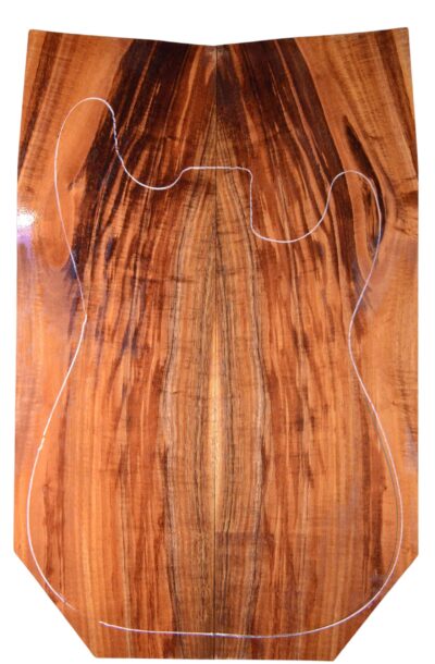Koa GuitarSolidBodyTopATC L20998.G.043