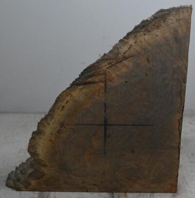 Yellow Box Burl YLBX.BURL.002