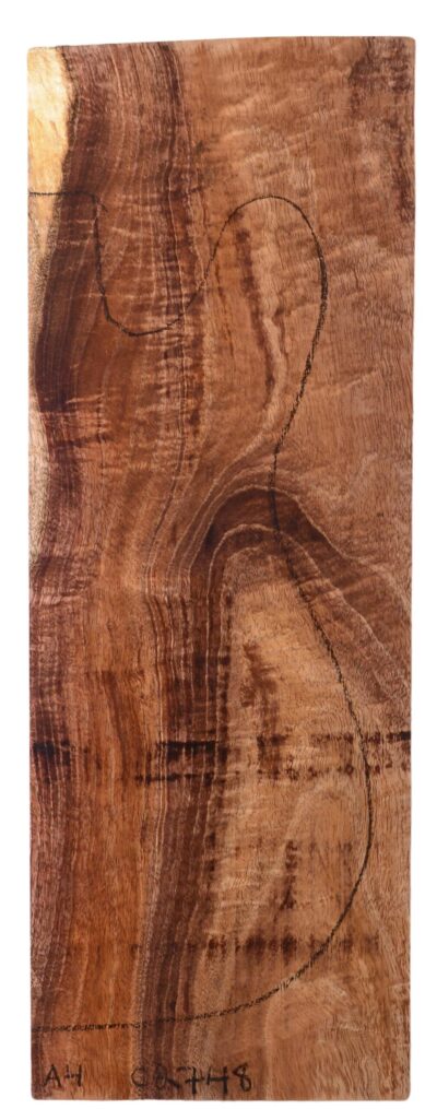 Blackwood (Tasmanian) GuitarBillet L16618.G.003
