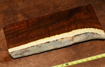 Gidgee Block 2789.BURL.049