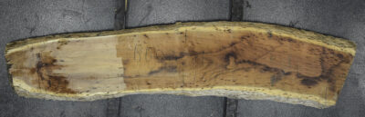 Blackwood (Tasmanian) Board BD02081