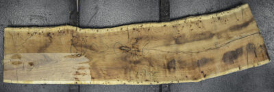 Blackwood (Tasmanian) Board BD02086