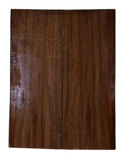 Walnut (Black) GuitarBack2pcATC L023937.G.010