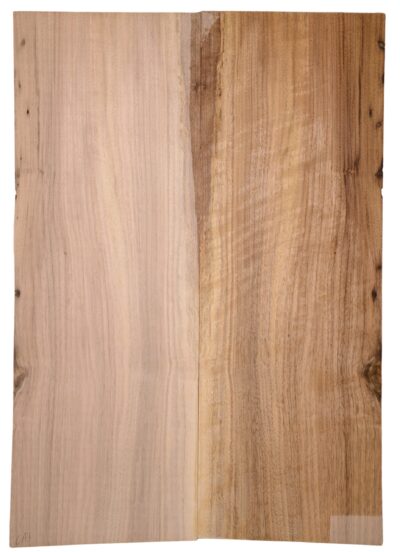 Walnut (English) GuitarBack2pcATC L15769.G.038