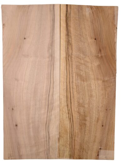 Walnut (English) GuitarBack2pcATC L15769.G.060