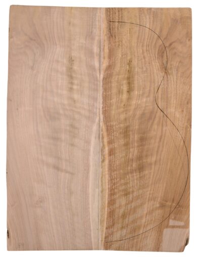 Walnut (English) GuitarBack2pcATC L15769.G.135