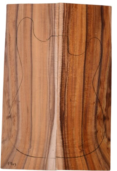 Koa GuitarSolidBodyTopATC L16973.G.027