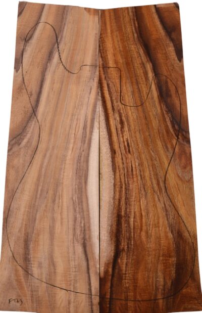 Koa GuitarSolidBodyTopATC L16973.G.030