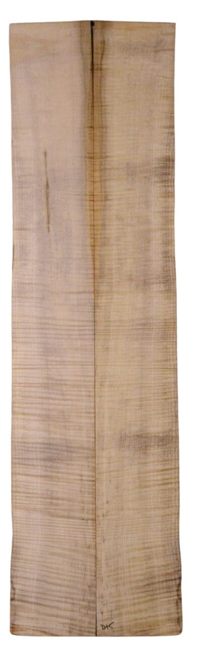Myrtle (American) GuitarBack2pcATC L18938.G.210