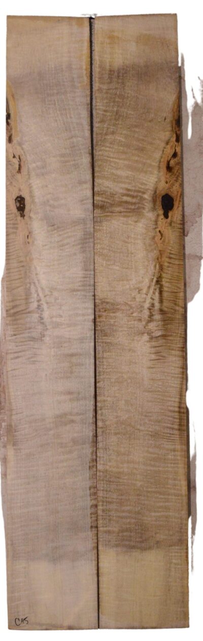 Myrtle (American) GuitarBack2pcATC L18938.G.216