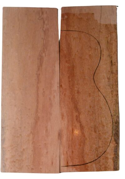 Bosse GuitarBack2pcATC L22962.G.030